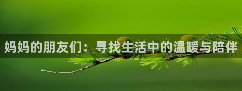 星空电影免费播放