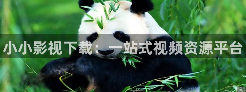 星空影院电视剧免费看入口