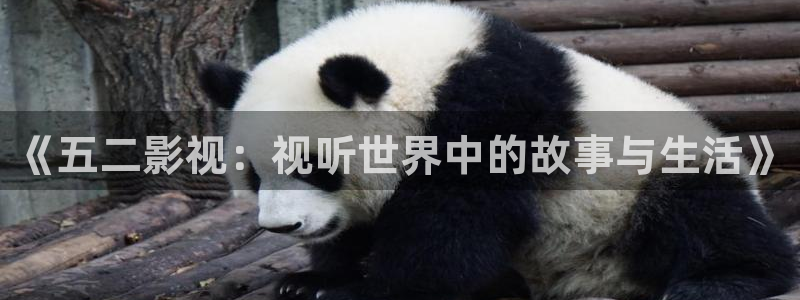 星空影院免费观看电影app：《五二影视：视听世界中的故事与生活》